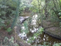 The Isle River