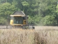 The Harvester