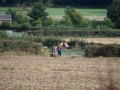 A Family Out Walking