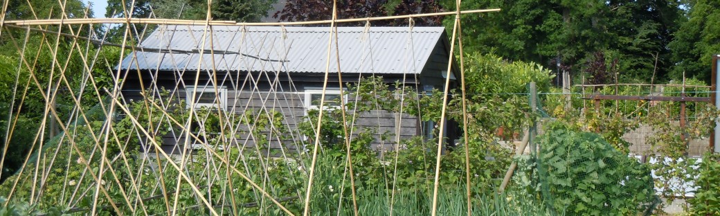 It's the best-kept cottage garden in the village.