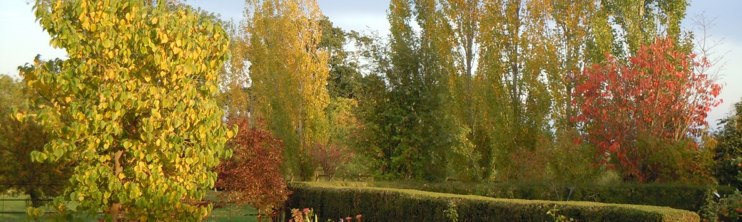 A faded lime green through to rust. I love the autumn spectrum.