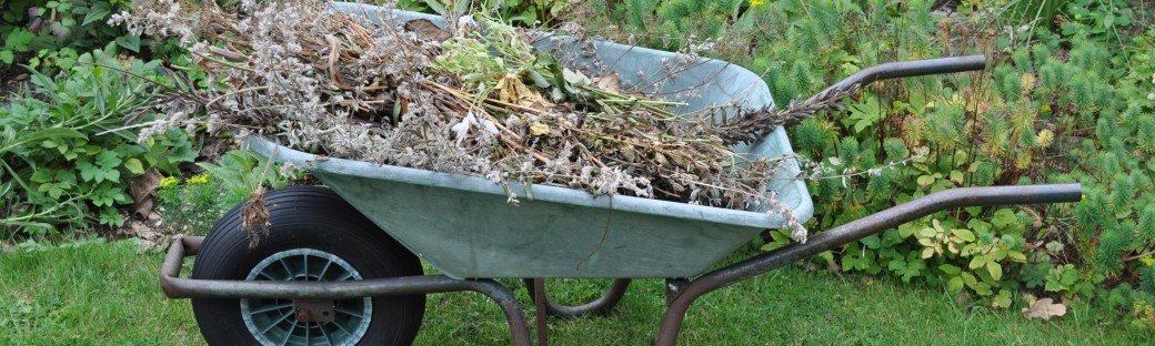 Clearing the Autumn Beds