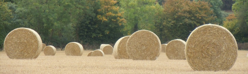 The straw bales made so many different patterns. I liked this one best.