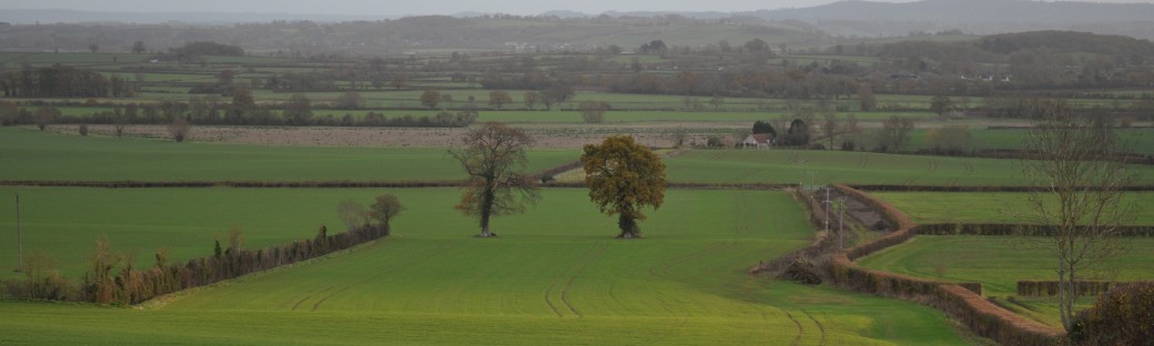 December Countryside