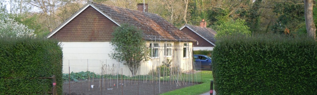 Bungalows on the Lane to the Next Village
