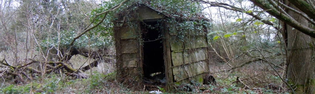 The Old Cart in the Woodland