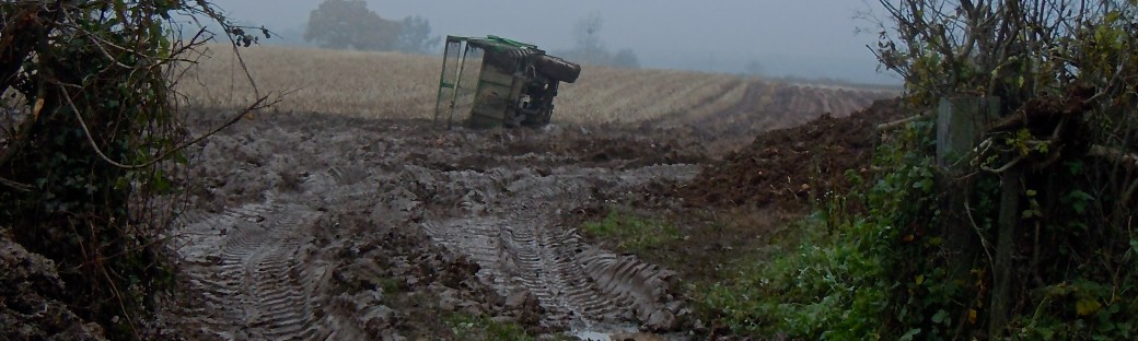 Blown over in a night storm