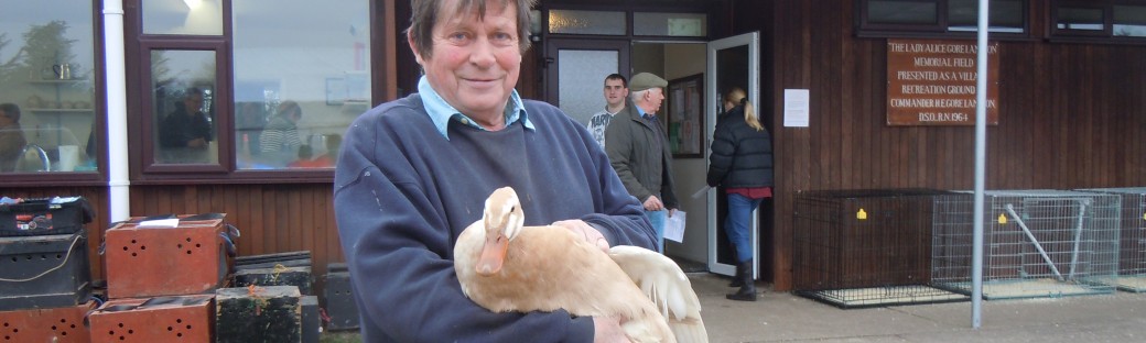 The Poultry Fancier
