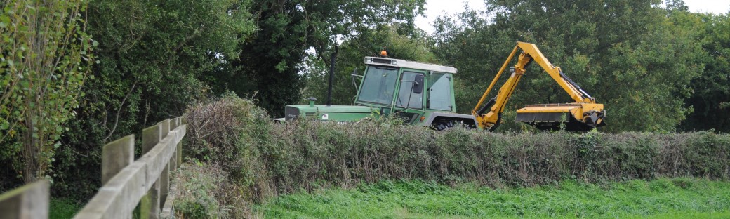 Hedgecutting