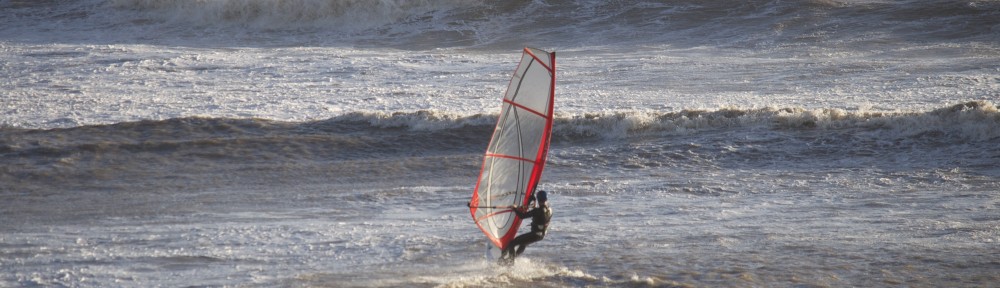 Windsurfer
