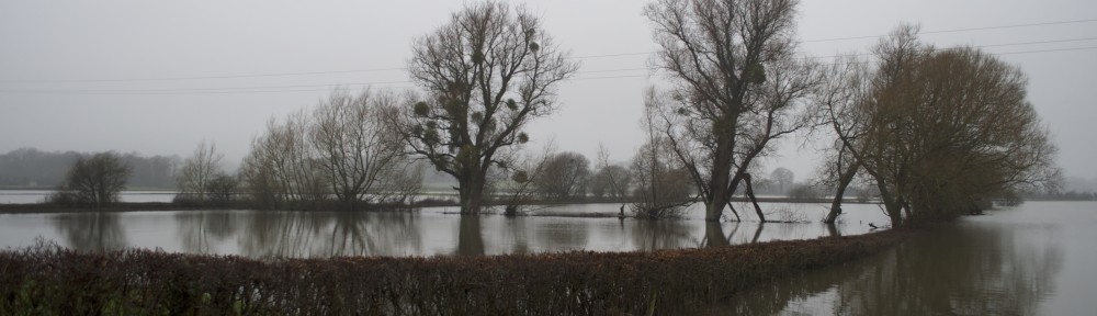 Floods in the Somerset Levels