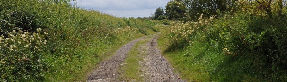 Riding Back Lanes