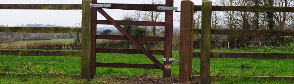 The Gate to Our Field
